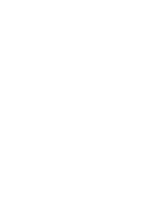 Forma Decorativa Esquerda